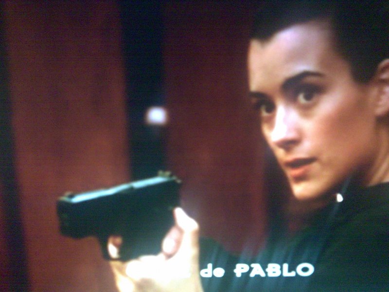 Cote de Pablo.jpg