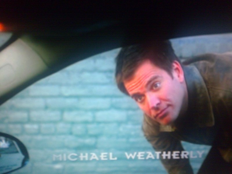 Michael Weatherly.jpg